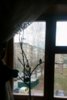 IMG_20170503_082337_034.jpg