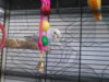 DSCN8440.JPG