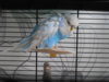 DSCN8449.JPG