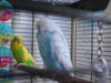 DSCN8439.JPG
