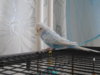DSCN8455.JPG