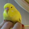 _20170504_210230.jpg