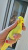 IMG_20170504_205513.jpg
