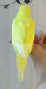 _20170504_210015.jpg