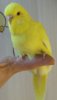 _20170504_210041.jpg