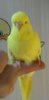 _20170504_210053.jpg