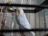 DSCN8467.JPG