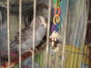 DSCN8462.JPG