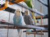DSCN8419.JPG