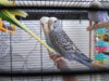 DSCN8416.JPG