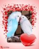 IMG_20170214_164300.jpg