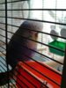 IMG_20170507_135821.jpg