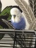 IMG-20170412-WA0171.jpg