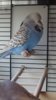 DSC_1323.JPG