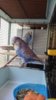 DSC_1342.JPG