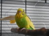 DSCN8526.JPG