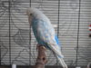DSCN8506.JPG