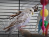 DSCN8524.JPG