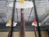 DSCN8535.JPG