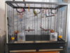 DSCN8534.JPG