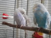 DSCN8548.JPG