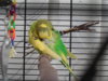 DSCN8550.JPG