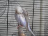 DSCN8552.JPG