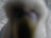 DSCN8558.JPG