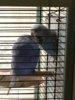 IMG_20170507_141520.jpg