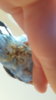 20170509_174112.jpg