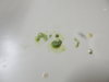 DSCN3569.JPG