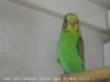 IMG_7140.JPG