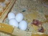 20151005_161533.jpg