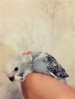 36d98cdfee1f.jpg