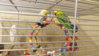 DSCF9024.JPG