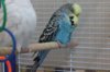 IMG_0866.JPG