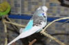 IMG_0764.JPG