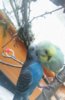 IMG_20170511_182455_803.jpg