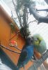 IMG_20170511_182653_431.jpg