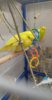 IMG-20170511-WA0021.jpg