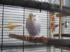 DSCN8574.JPG