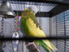 DSCN8571.JPG