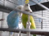 DSCN8570.JPG