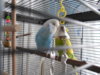 DSCN8572.JPG