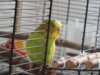 DSCN8629.JPG