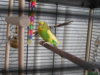 DSCN8602.JPG