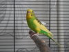 DSCN8620.JPG