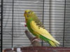 DSCN8624.JPG