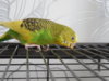 DSCN8651.JPG