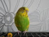DSCN8635.JPG